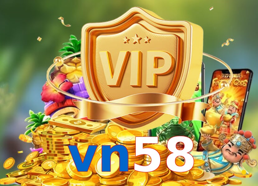 vn58