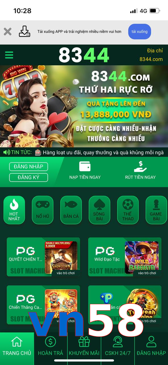 vn58